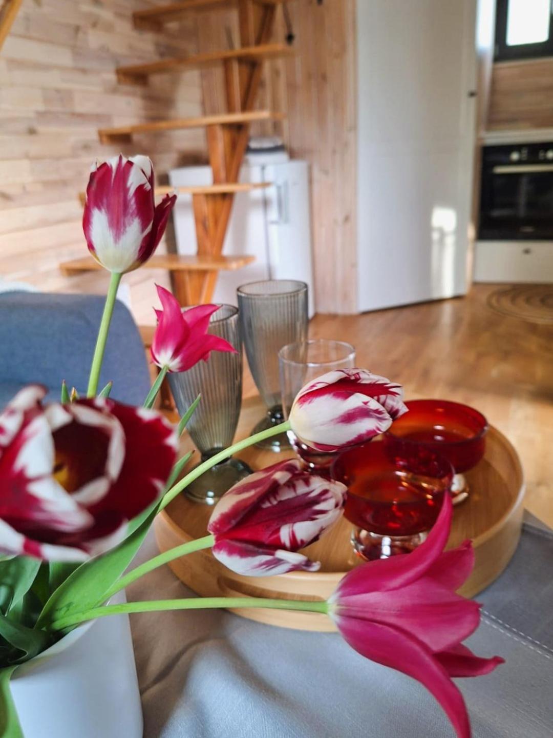 Holiday home Na Korcie Lubomierz (Lower Silesia)